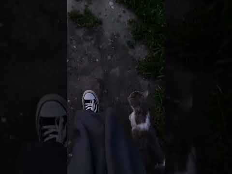 ويوم وداعنا فجرا وماقساه من فجر