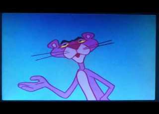 Why Can T Men Be More Like Animals But It S Recorded On DBPower Portable DVD Player