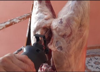 طريقة تقطيع اضحية العيد بالمنشار الكهربائي Comment Couper Un Mouton Avec La Scie Sabre électrique