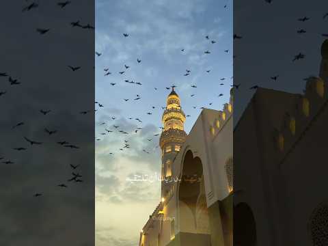 أأبكاك شوقك اليه يوما