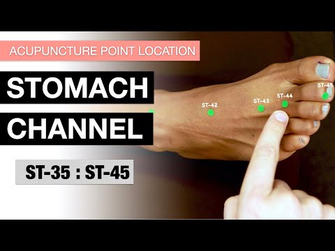 Acupuncture Point Location The Stomach Channel 35 45 Stomach Meridian Pt 3 Acupuncture Point Location The Stomach Channel 35 45 Stomach Meridian Pt 3