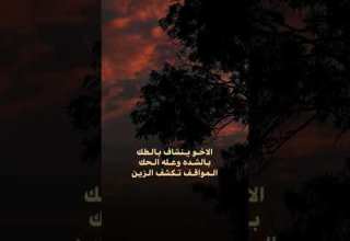 الاخو ينشاف بالطك الملا كرار الكربلائي