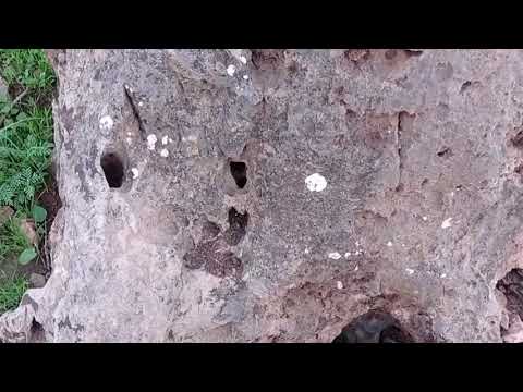 Signal Analysis And Sound Science With Professor Abu Al Jarar