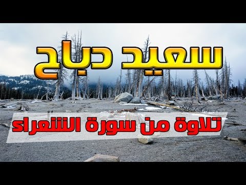 القارئ سعيد دباح تلاوة من سورة الشعراء القارئ سعيد دباح تلاوة من سورة الشعراء