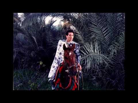 عصر الفرسان علي الحجار