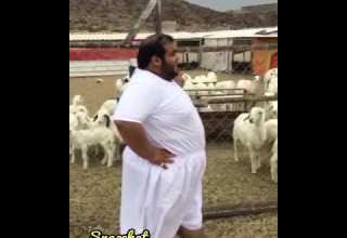 ترجيتك تروف بحال من قد له 3 سنين