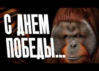 Мы живем в самой кринжовой стране Что опять случилось в России