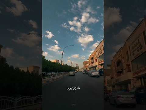 ما ادري تروح محمد باقر الخاقاني
