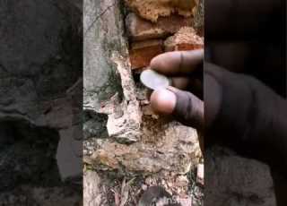 من الفقر إلى الثروة لحضة عثور الباحث على خبيئة الكنز