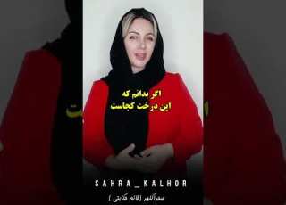  حکایت سعدی صحرا کلهر