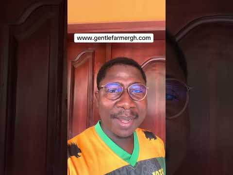 Besuchen Sie Bitte Unsere Website