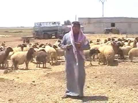 الفنان لايذ الحسين هاتي يا دنيا