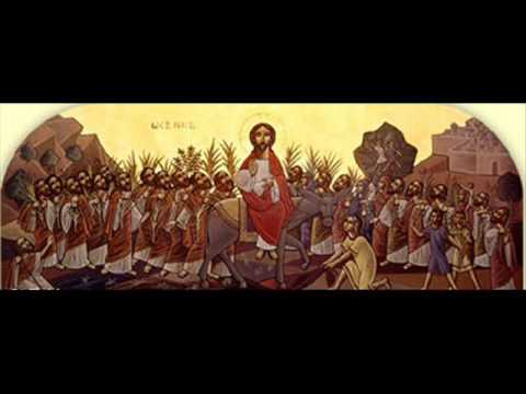 مرد إنجيل أحد الشعانين باللحن الكبير المرتل ألبير جمال ميخائيل