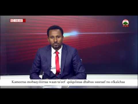 Gaz Abdii Fiixee Fi Dr Awwal Aloo OBN Waliin Karaa Skype Mariin Taasisan 25 09 2010