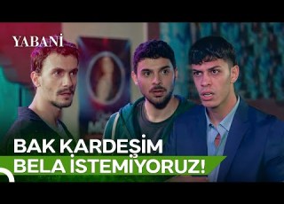  Asi Yi Ararken Kavgayı Buldular Yabani 37 Bölüm