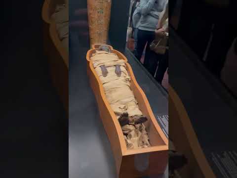 REAL Egyptian Mummy Egyptianmuseum Ancientegypt Museum Ancient History Old Mummification