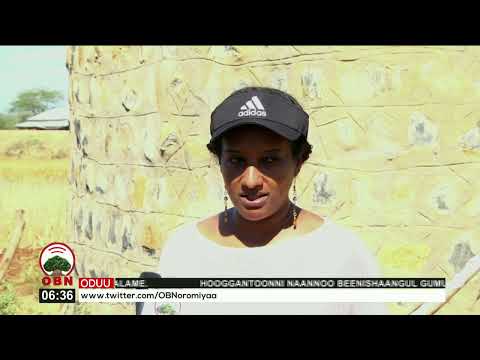 Harkifannaa Pirojektii Bishaan Dhugaatii Laga Hidhaa