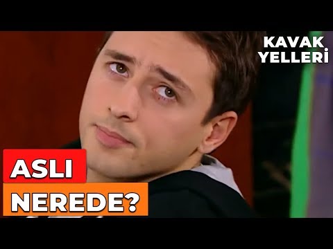 Hayati Tehlikeyi Atlatan Deniz Hastaneden Çıkıyor Kavak Yelleri 44 Bölüm Hayati Tehlikeyi Atlatan Deniz Hastaneden Çıkıyor Kavak Yelleri 44 Bölüm