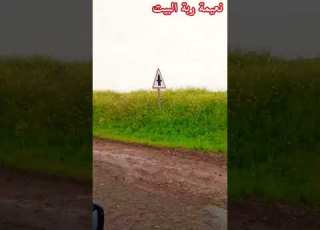  العيد والشتاء والعروبيه يا سلام طريق اولاد سعيد