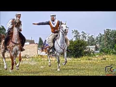 شيخ كمال القالمي صغري ضاع وراح