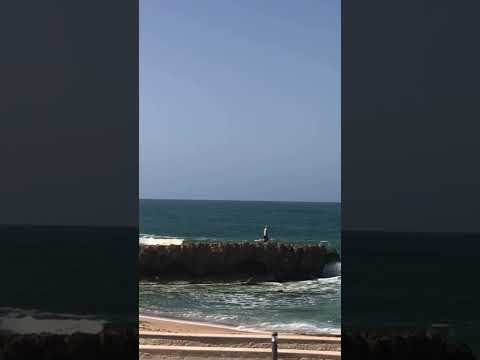 يلاقي قلبي فين دواه