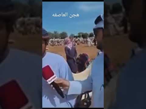 هجن العاصفه