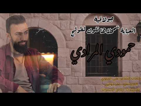 زمارة نااار حمودي المرادي