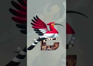  ياهدهد اليوم الحمولة فوق طاقتك القوية البردوني