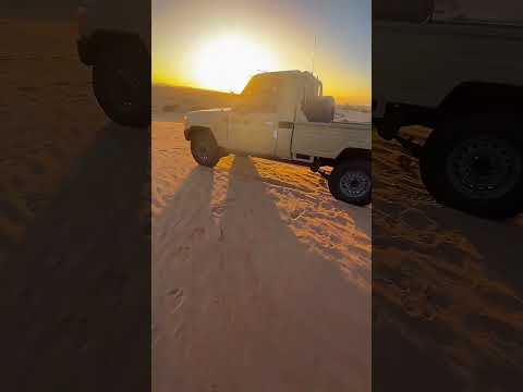 ملك الصحراء الشاص