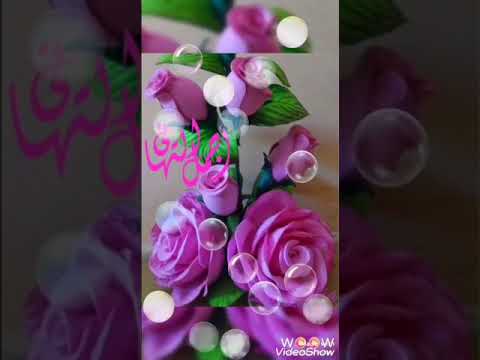 بارك الله لكم في اعيادكم