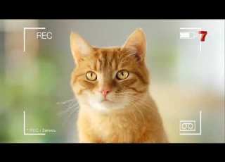 Re Upload Commercial Break Channel 7 Kazakhstan 01 21 2021