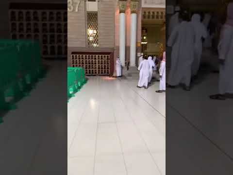 فجر الأحد 7 ربيع الثاني 1442 للشيخ أحمد بن طالب فواتح الزمر 1 31 مسجل من ساحات الحرم النبوي