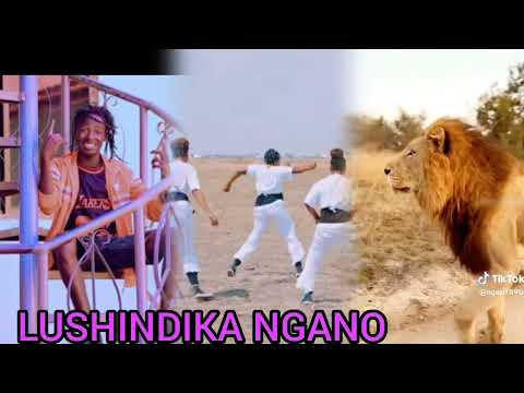 LUSHINDIKA NGANO UJUMBE WA MACHIYA 2026 MGANGA KISIMA MAJABHALA GUDE GUDE Limbu Luchagula MPYA