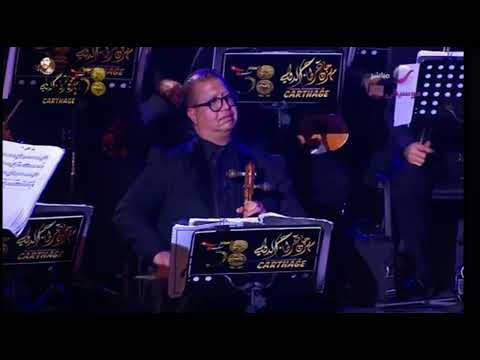 محمود سرور بنت اكابر قرطاج