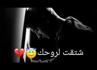  حلات وتس اب عن الحب أحمد علاش