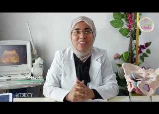 Avoid These Mistakes To Speed Up Pregnancy Dr Reham El Shal