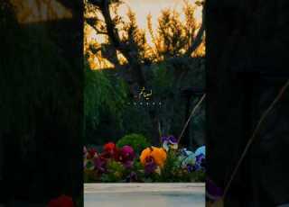 راشد الماجد نسيناكم