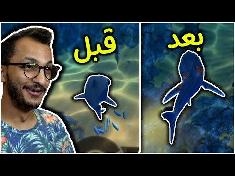 حياة السمك محاولة النجاة من الأسماك المتوحشة Feed Grow Fish