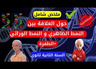 ملخص شامل حول العلاقة بين النمط الظاهري و النمط الوراثي مراجعة للإختبار الفصل الثالث 2 ثانوي