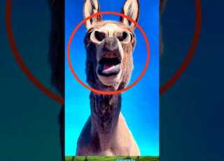 Donkey Mule Funny Crying Likesadia Animals Beautifulscenery Donkey Funnyvideo