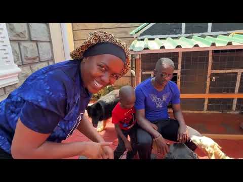 My Life With A Shamba Boy