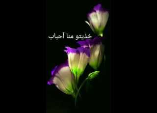 وداعا يا شهور مضت بحلوها ومرها