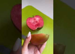ענבל רז Foryou Funny תנוסאב