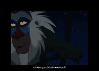 في ناس عايزاك تغلط عشان تنساك حالات