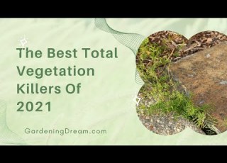  The Best Total Vegetation Killers Of 2021