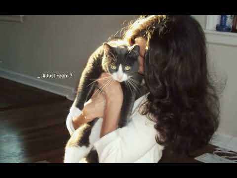 عبدالله الهميم تعال وارحم عيوني مسرع