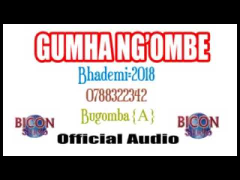 Gumha Ng Ombe Bhademi PR Bicon