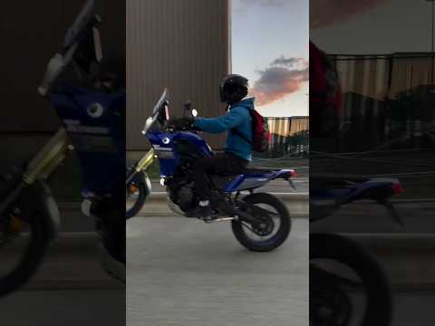 Tenere 700 Shorts Tenere700