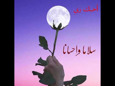 إذا المرء لم يرضى بما ربه وهب حالات واتس دينيه احبك ربي