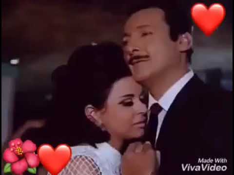 الحب و مدفينا الورد و مغطينا الشمس و طالعه لينا